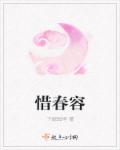 小说：惜春容，作者：下街99号