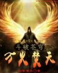 小说：斗破苍穹之万火焚天，作者：幻影重天