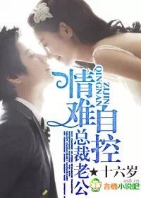 小说：总裁老公，情难自控，作者：十六岁