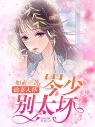 小说：擒妻入怀：岑少别太坏，作者：如素