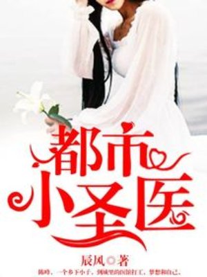 小说：都市小圣医，作者：辰风