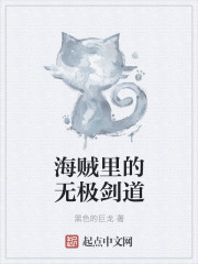 小说：海贼里的无极剑道，作者：黑色的巨龙