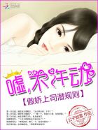 小说：傲娇上司潜规则：嘘，不许动，作者：公子如雪