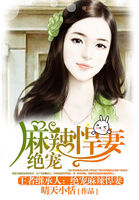 小说：王者继承人：绝宠麻辣悍妻，作者：晴天小恬