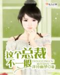 小说：这个总裁不一般，作者：浮玲幽梦