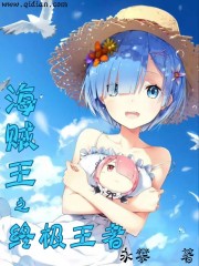 小说：海贼王之终极王者，作者：永攀