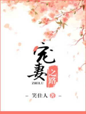 小说：宠妻之路，作者：笑佳人