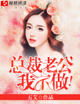 小说：总裁老公，我不做！，作者：五艾