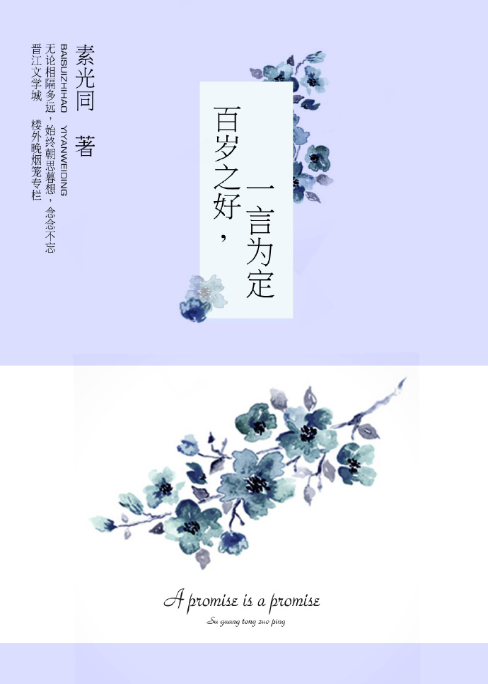 小说：百岁之好，一言为定，作者：素光同