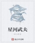 小说：星河武夫，作者：双木仙尊