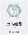 小说：金乌魔尊，作者：谈君