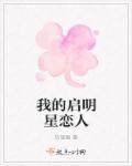 小说：我的启明星恋人，作者：陈思瑜