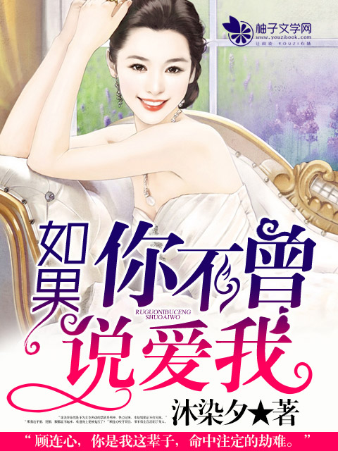 小说：如果你不曾说爱我，作者：沐染夕