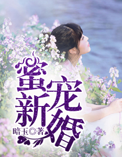 小说：蜜宠新婚，作者：暗玉