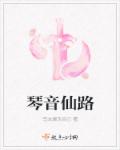 小说：琴音仙路，作者：写文娱乐自己