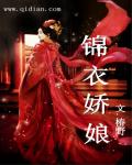 小说：锦衣娇娘，作者：椿野