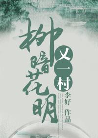 小说：柳暗花明又一村，作者：李好