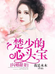 小说：闪婚甜妻，楚少的心头宝，作者：我是木木