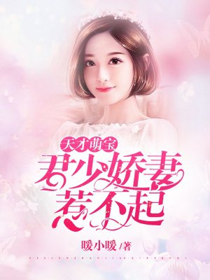 小说：天才萌宝：君少娇妻惹不起，作者：暖小暖