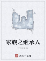 小说：家族之继承人，作者：无见无常