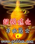 小说：超级炼化，作者：丰水居士