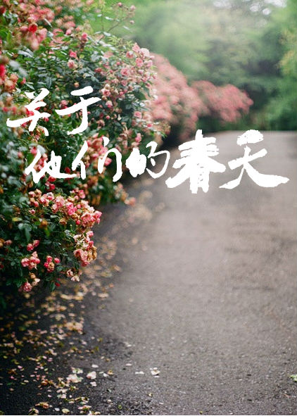 小说：关于他们的春天，作者：酸角糕