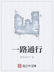 小说：一路通行，作者：要你命四千