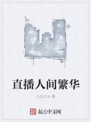 小说：直播人间繁华，作者：九天之水