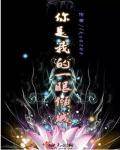 小说：你是我的一眼倾城，作者：lkz0208
