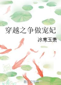 小说：穿越之争做宠妃，作者：冰寒玉萧