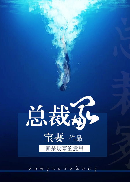 小说：总裁冢，作者：宝妻
