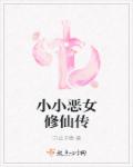 小说：小小恶女修仙传，作者：宁公子情