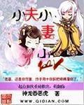 小说：小夫小妻小仙人，作者：神龙吞恶虎