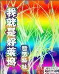 小说：我就是好莱坞，作者：贾思特杜