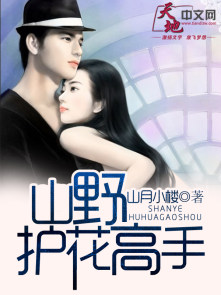小说：山野护花高手，作者：山月小楼