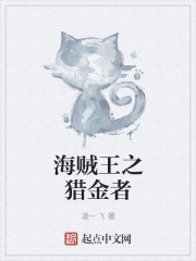 小说：海贼王之猎金者，作者：凌一飞