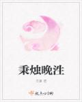 小说：秉烛晚泩，作者：氼夏