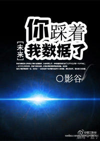 小说：你踩着我数据了，作者：影谷