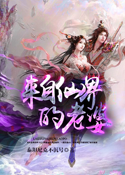 小说：来自仙界的老婆，作者：泰坦尼克不沉号