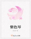 小说：紫色琴，作者：风儿沙