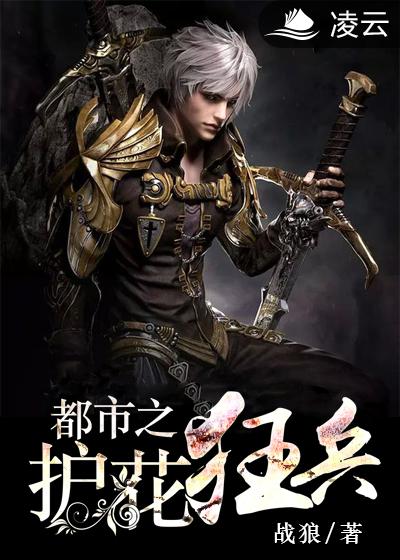小说：都市之护花狂兵，作者：战狼