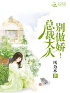 总裁大人,别傲娇!