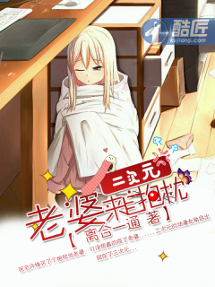 小说：二次元老婆来自抱枕，作者：离合一通
