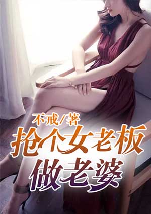 小说：抢个女老板做老婆，作者：不戒