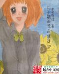 小说：花小瓶的热血生活纪，作者：眉眼清淡