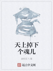 小说：天上掉下个魂儿，作者：凌若风飞