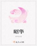 小说：昭华，作者：惊年渡