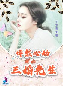 小说：怦然心动我的三婚先生，作者：丁东青