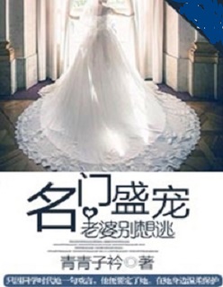 小说：名门盛宠：老婆别想逃，作者：青青子衿
