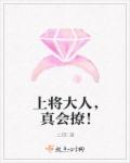 小说：上将大人，真会撩！，作者：上邪i